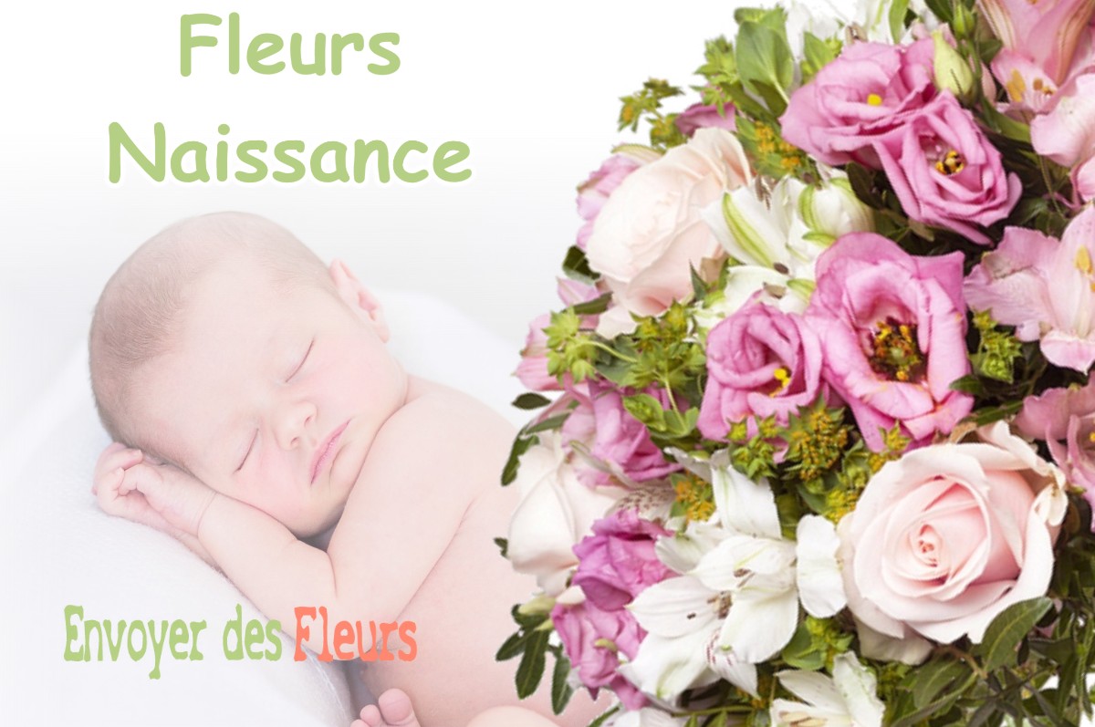 lIVRAISON FLEURS NAISSANCE à GREASQUE